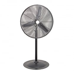 30 Pedestal Fan
